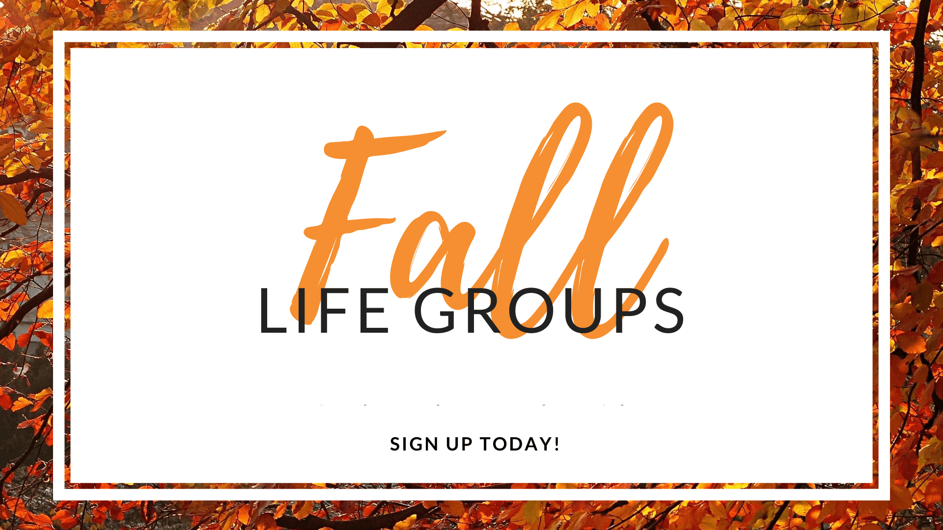 Life Groups